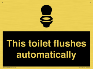 This toilet flushes automatically